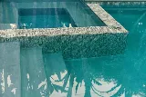 Apex Pool & Tennessee photo 4