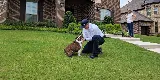 Moxie Pest Control