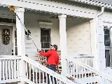 City Wide Exterminating photo 3