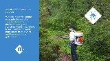 Moxie Pest Control photo 6