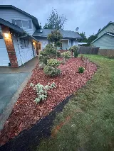 Dream Team Landscaping photo 6