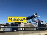 Big Blue Bug Solutions