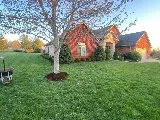 Preferred Pest and Lawn photo 5