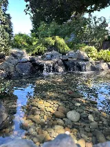 Dominguez landscaping service,LLC