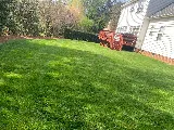 EM Landscaping Service photo 6