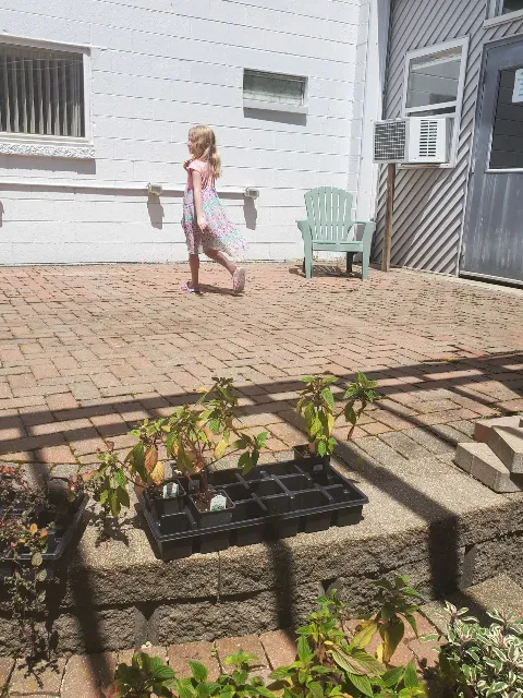 Good Earth Landscaping photo 1