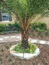 High Maintenance Landscape Contractors photo 4