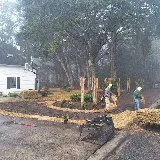 Davis Landscaping LLC photo 2
