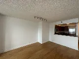 Improovy Painters Chicago photo 6
