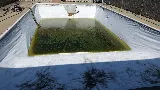 Crystal Clear Pool Service, inc photo 6