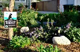 Green Splendor Landscaping photo 7