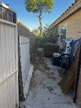 BeeSafe Pest Control LLC photo 5