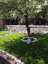 Alchemy Irrigation and Landscaping photo 8