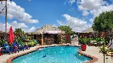 Blue Tropical Pools photo 5