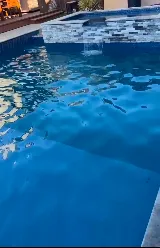 Aqua Go H2o Pool Services photo 5