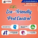 Eastside Pest Control Vancouver photo 6