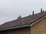 Richard Hockett Roofing photo 2