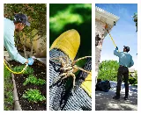 Greenway Pest Solutions photo 4