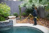 Greenleaf Pest Control photo 7