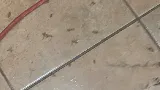 Provincial Pest Control Toronto
