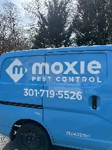 Moxie Pest Control photo 2