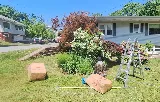Code Green Landscaping & Property Services photo 6