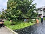 White Rock Lawn and Yard Care Ltd. photo 5