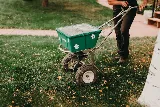 Yard Dawgs Lawn Care photo 4