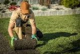 Landscaping Lubbock Pro photo 5