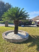 Miguel Landscaping