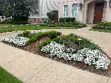 Clean Cut Landscape Co photo 8