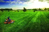 Giles Lawn Maintenance and Landscaping Inc photo 6