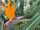 Pointe Pest Control - Spokane photo 7