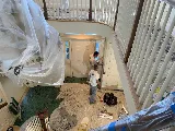 Thomas Interior Painting photo 5