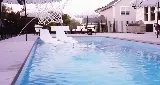 Vickscapes Pools & more photo 2