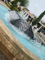 Four Seasons Pool Service photo 4