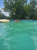 The Pool Guy/The Pool Store photo 5