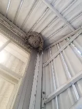 Mountain Man Pest Control photo 7
