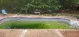 Blue Dolphin Pool Services