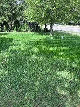 Blake Landscape LLC photo 8