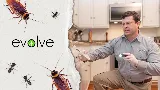 Evolve Pest Control