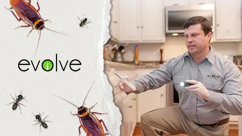 Evolve Pest Control photo 1