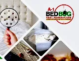 A-1 Bed Bug Heat Remediation photo 6