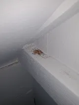 Audubon Pest Control LLC photo 5