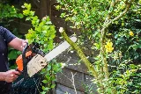 Jimenez Landscaping Service photo 7