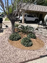 Jimenez Landscaping Service photo 2