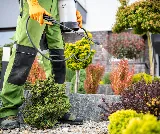 Bluesway Pest Control photo 8