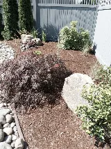 TyDe Garden and Landscape Design Courtenay photo 2