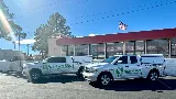 NEWMANS PEST CONTROL