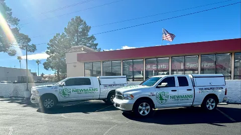 NEWMANS PEST CONTROL photo 1